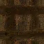 smechles_dirttrack_gross