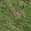 my_grass_1