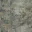 asm_groundlight