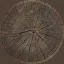 wood_up