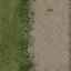 country_road1