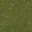 yardgrass1