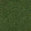 grass_4