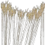 rgv4lod_mel_veg