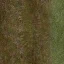 smechanii_lesgrass