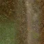 setunka_dnograsslesmix