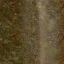 setunka_dnotoforest