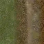 setunka_dnotograss