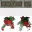 apat_flowers
