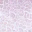 wall_int2