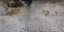 wall_stucco_06