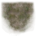 znam_grass_bad