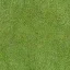 znam_grass_good