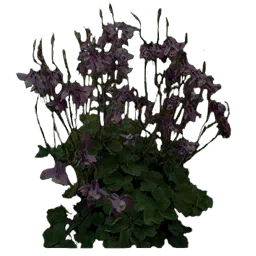 grass_gen256old