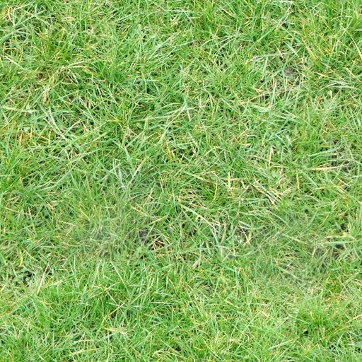 love_grass