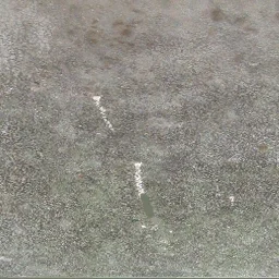 mus