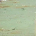 mus_n