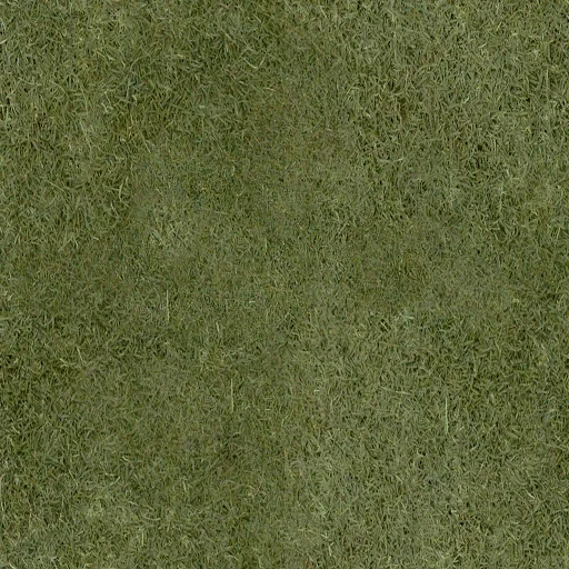 grass