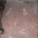 pli5etpd
