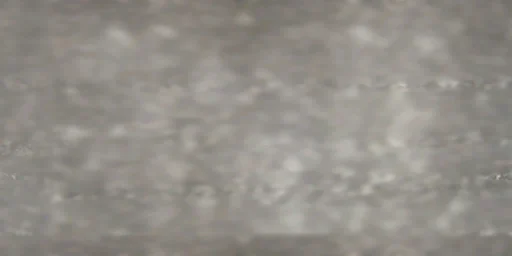 pol