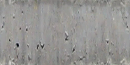 pol3