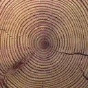 gen_log_end
