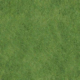 grass1