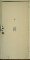 newlawdoor