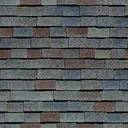 shingles5