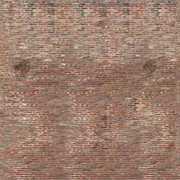ws_apartmentmanky2