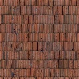 41