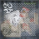 cj_miamibin