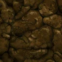 gb_poo01