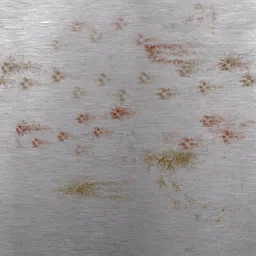 gill_petshop_surface01