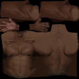 torso_hands