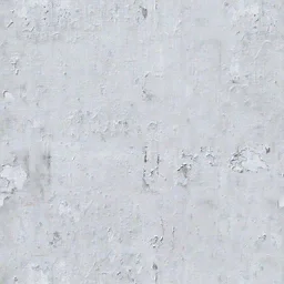 om_body1