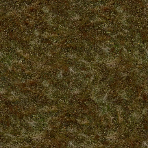 oldgrass2