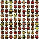 beetles1