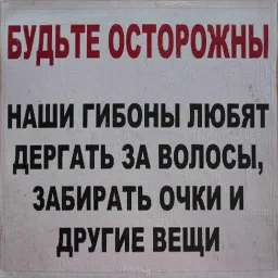 ment_gibbon