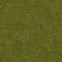 grassdry_128hv
