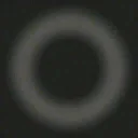 an2_whl