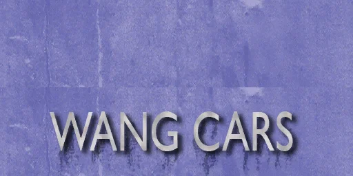 ws_wangcar2