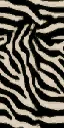zebra_skin