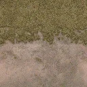 sl_sfngrssdrt01