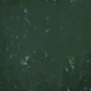 kraska_1