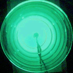 greenlight