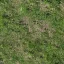 my_grass_1