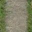 park_road3