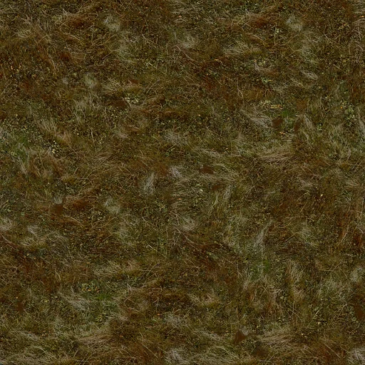 oldgrass2