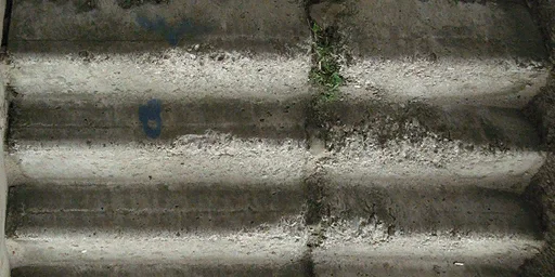 nfh_steps